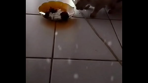 Gadis Malam Yang Menggoda