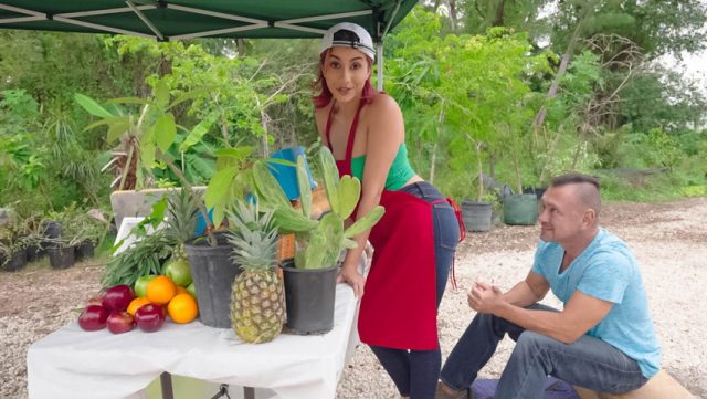 Demi Raja Realitas – Jagung Segar Yang Super Montok Siap Dimakan