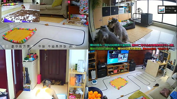 Tonton Live Cewek-cewek Cina Lagi Goyang-goyang, Bikin Nafsu Naik Terus!